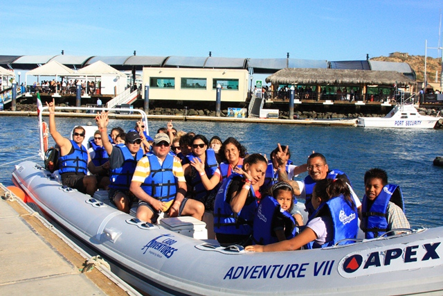 Whale Watching Photo Safari - Cabo San Lucas, Los Cabos, Mexico