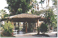 Yuca Inn Hotel - San Jose del Cabo